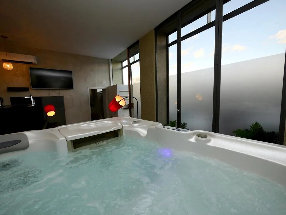 Appartement Spa Privatif Grenoble At Home Spa 0*,  프랑스